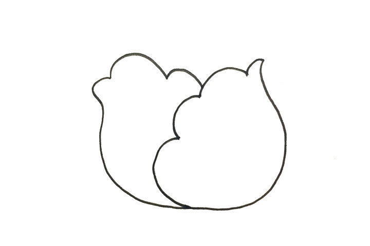 怎么画卷心菜