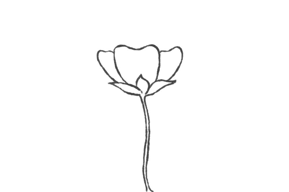 小花仙简笔画画法步骤