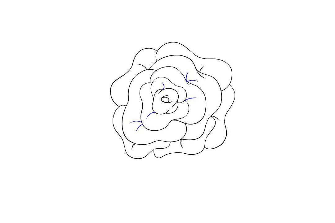 如何画玫瑰花简笔画