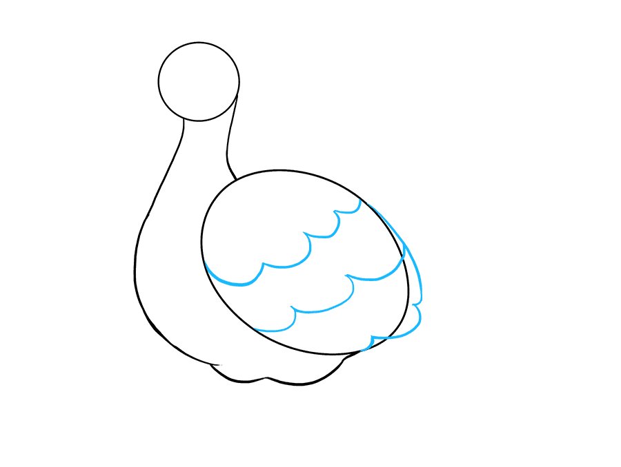 简单漂亮的火鸡简笔画步骤