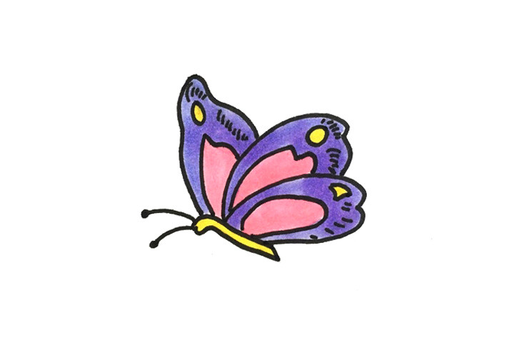 简单又漂亮的蝴蝶简笔画步骤