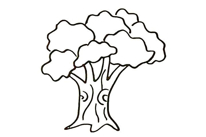 大榕树简笔画画法步骤