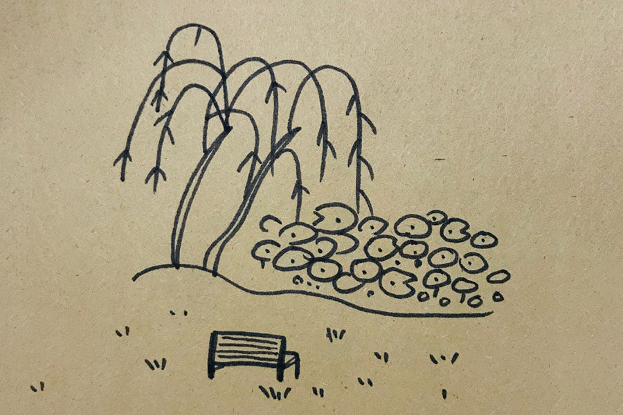 荷叶田田青照水 荷塘风景简笔画图片