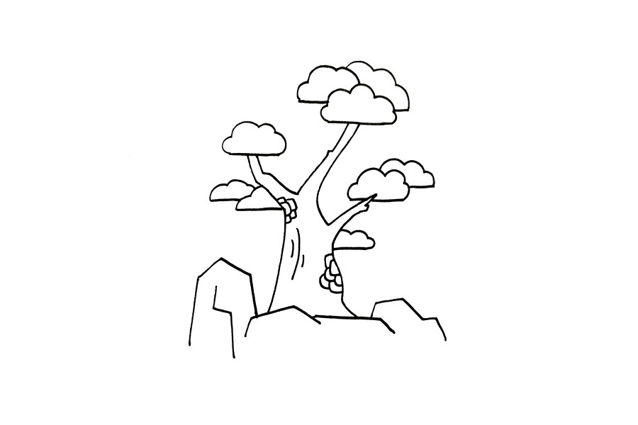 植物简笔画大全 松柏怎么画
