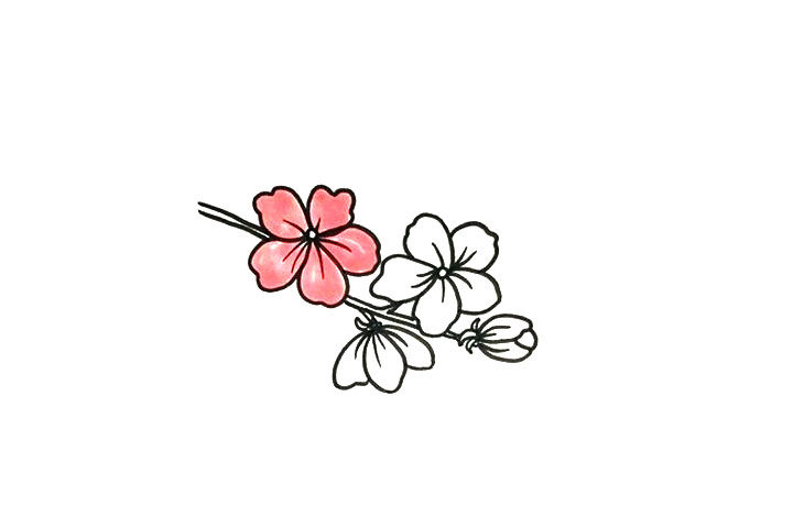 漂亮的桃花简笔画步骤