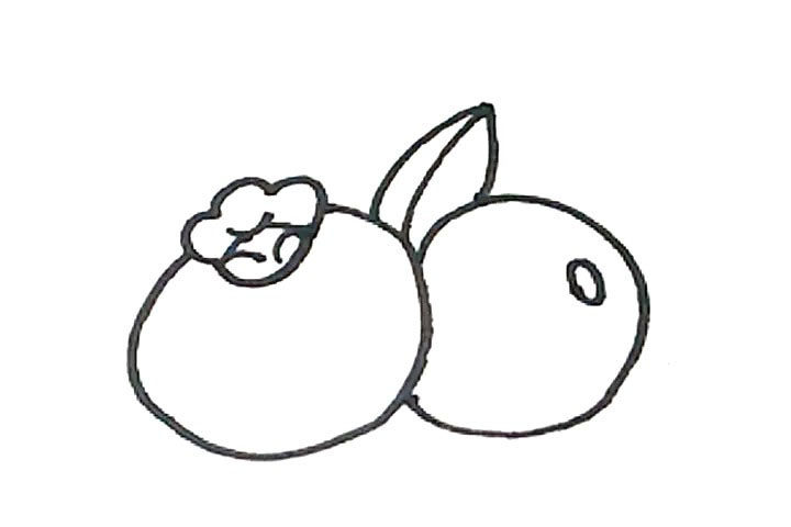 蓝莓简笔画画法教程