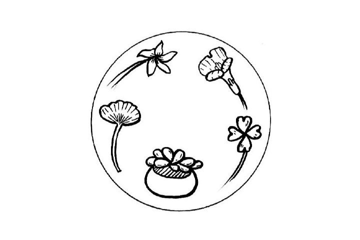 春天，万物复苏 来一组春日小花简笔画图片