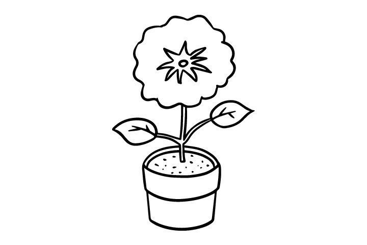 小型植物盆栽简笔画