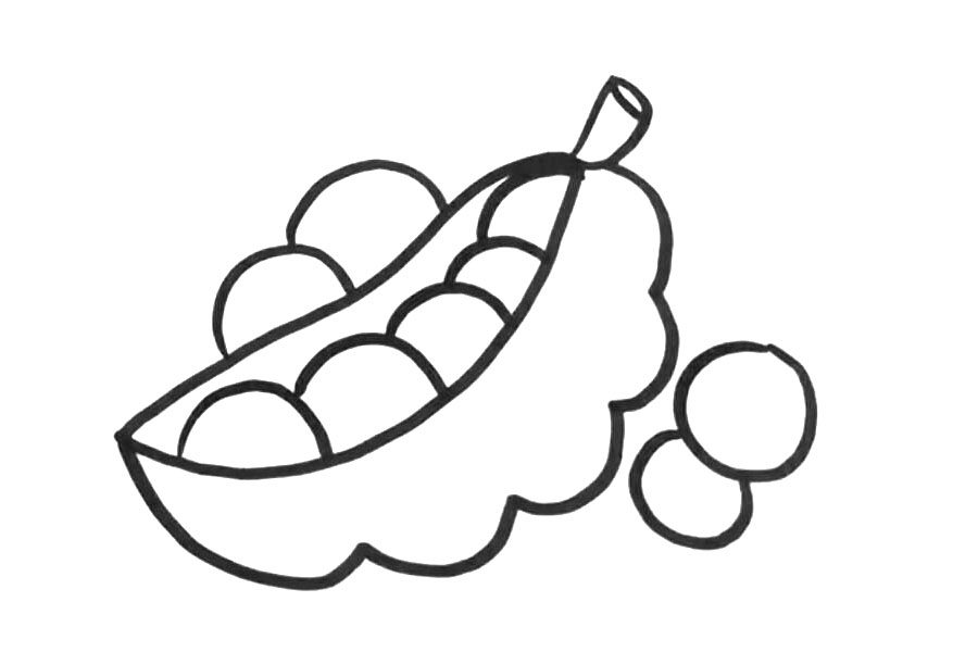 豌豆怎么画