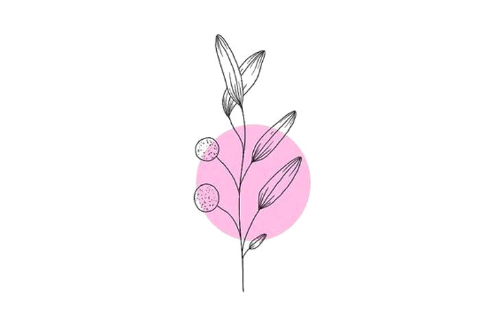 植物花草简笔画12种漂亮的小草简笔画图片
