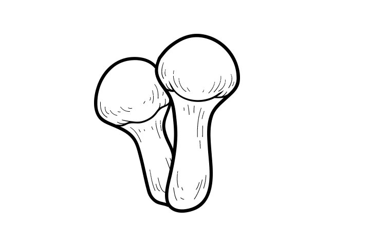 各种野生菌的画法