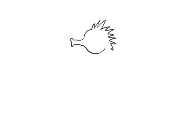 海洋生物海马简笔画怎么画