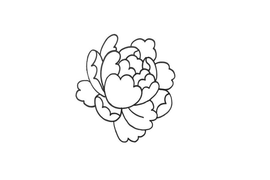 一步一步学画牡丹