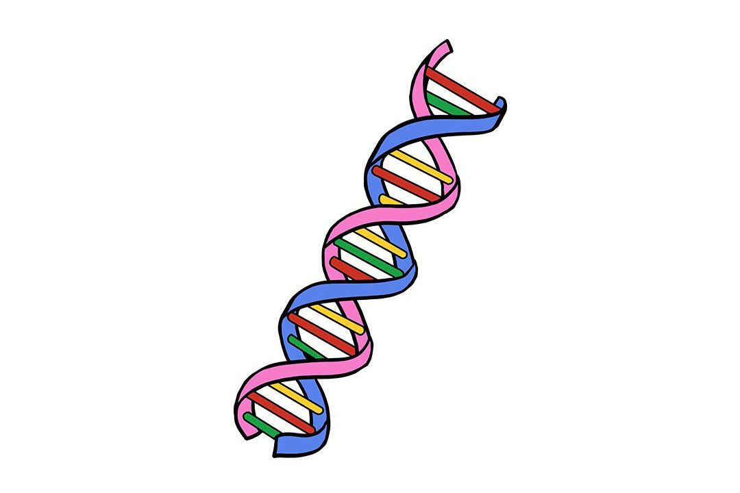 生物DNA怎么画