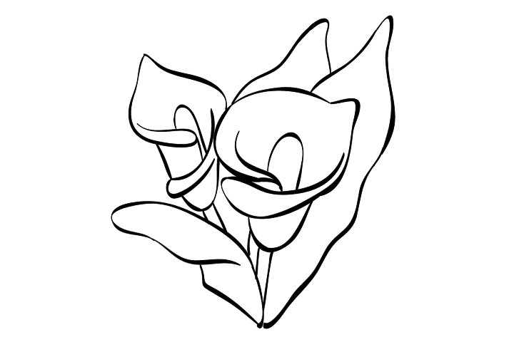 各种漂亮的花朵简笔画