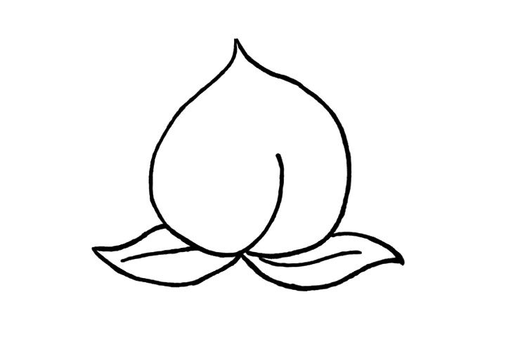 桃子简笔画画法步骤