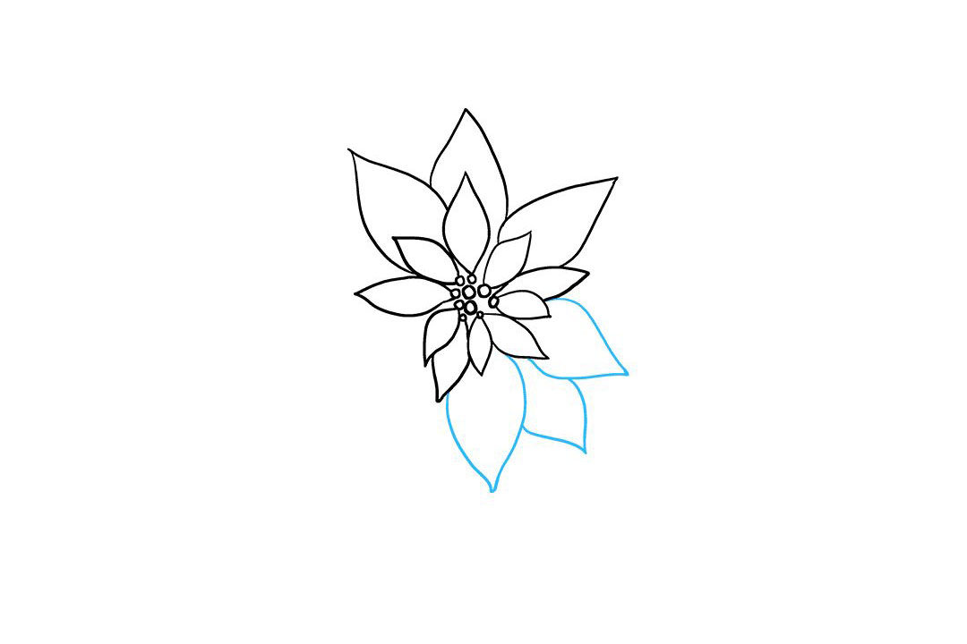 一品红简笔画怎么画