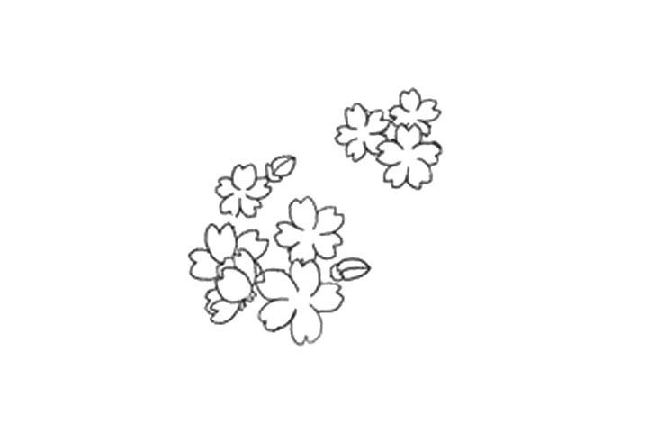 樱花的详细画法图解