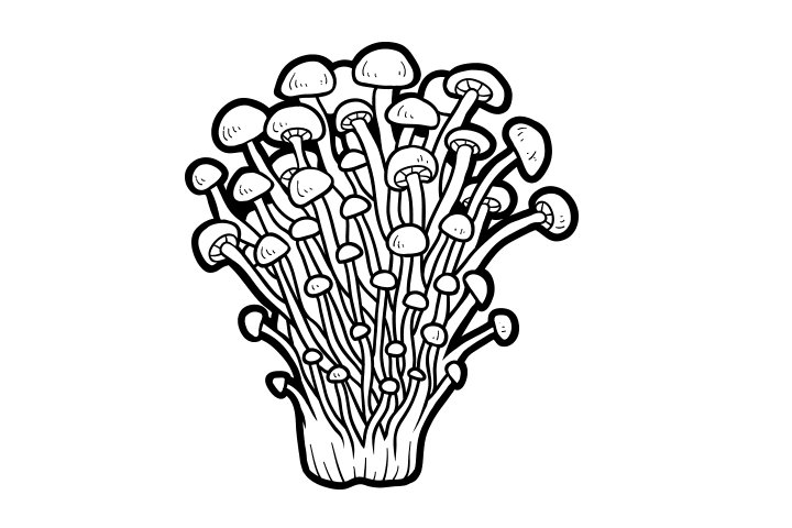 各种野生菌的画法