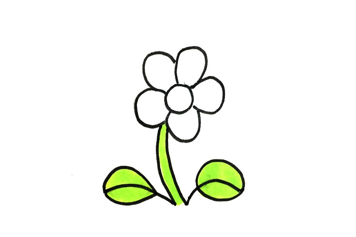 超简单小花的画法步骤