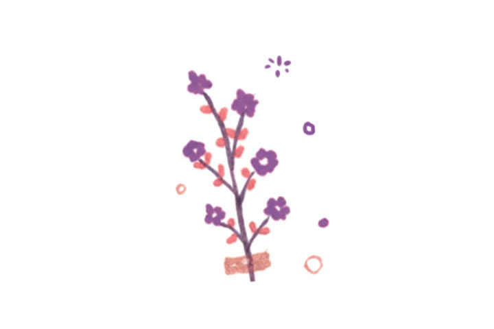 六张美丽的花花简笔画图片