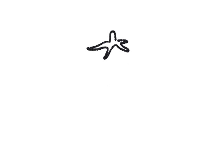 西红柿简笔画大全