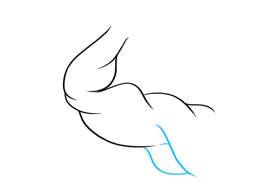 如何画二头肌