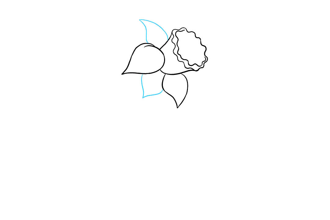 水仙花怎么画