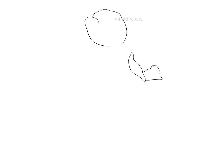 画一株代表死亡的罂粟花 禁毒日简笔画绘画素材