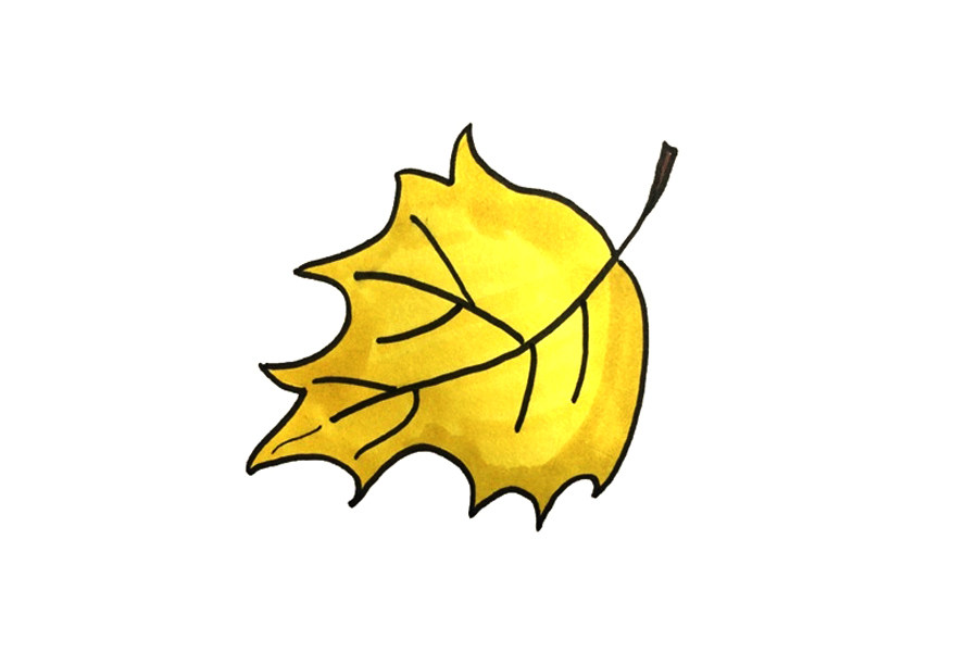 秋天落叶怎么画