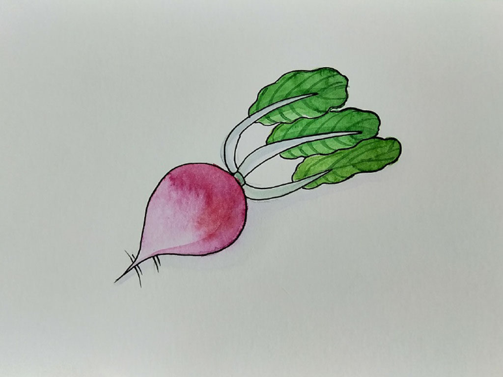 蔬菜怎么画好看