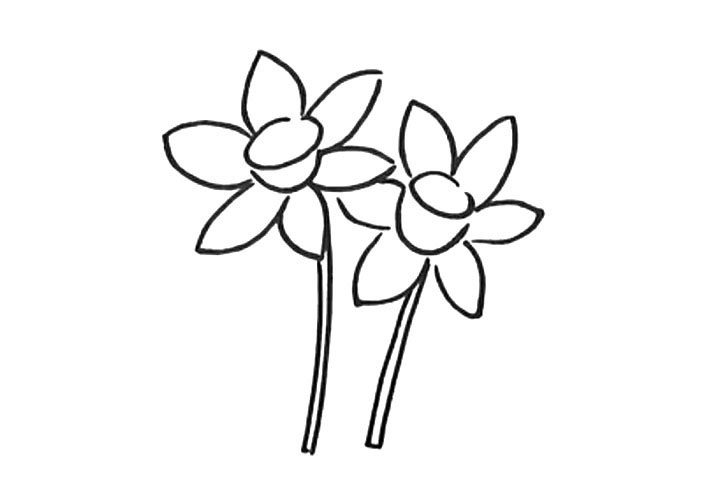 水仙花简笔画教程
