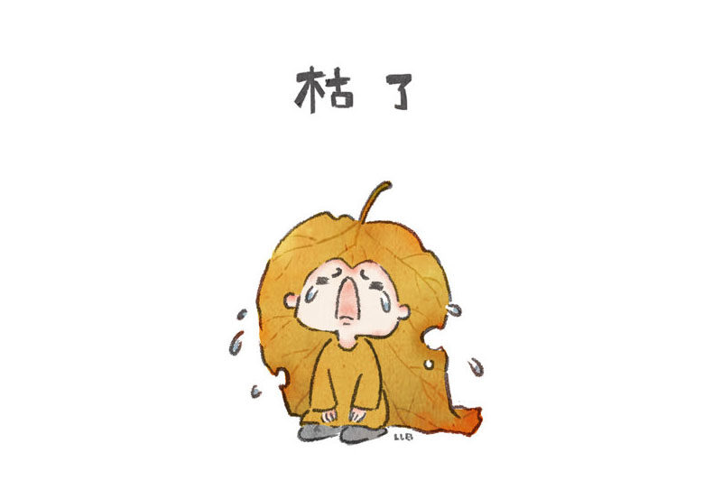 一组漂亮的小叶子表情简笔画图片