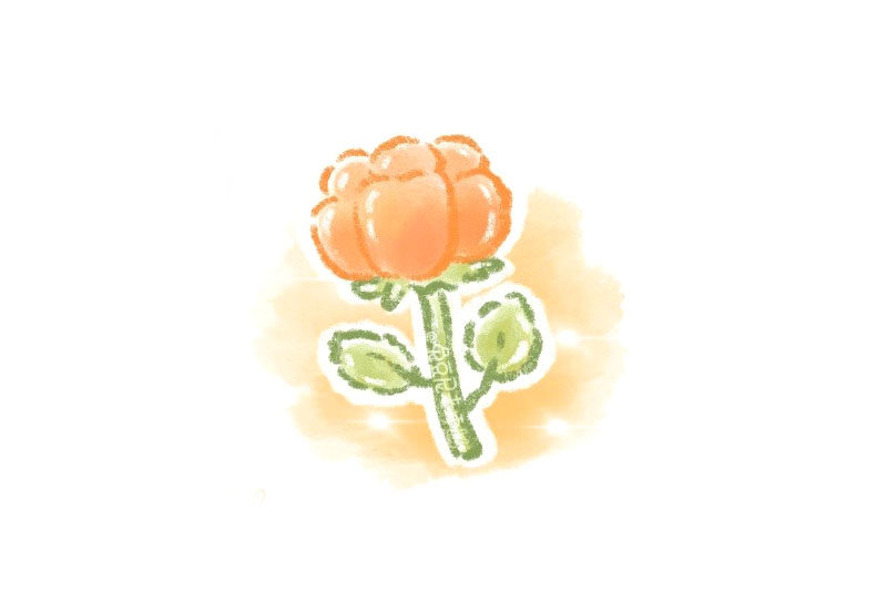 一朵漂亮的小花花怎么画