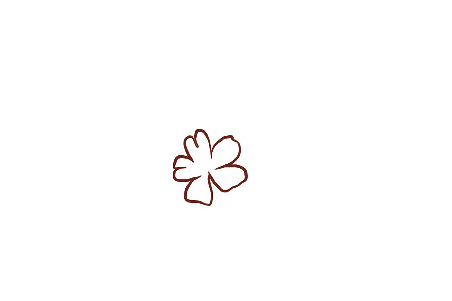 邮寄一份小花花简笔画画法教程