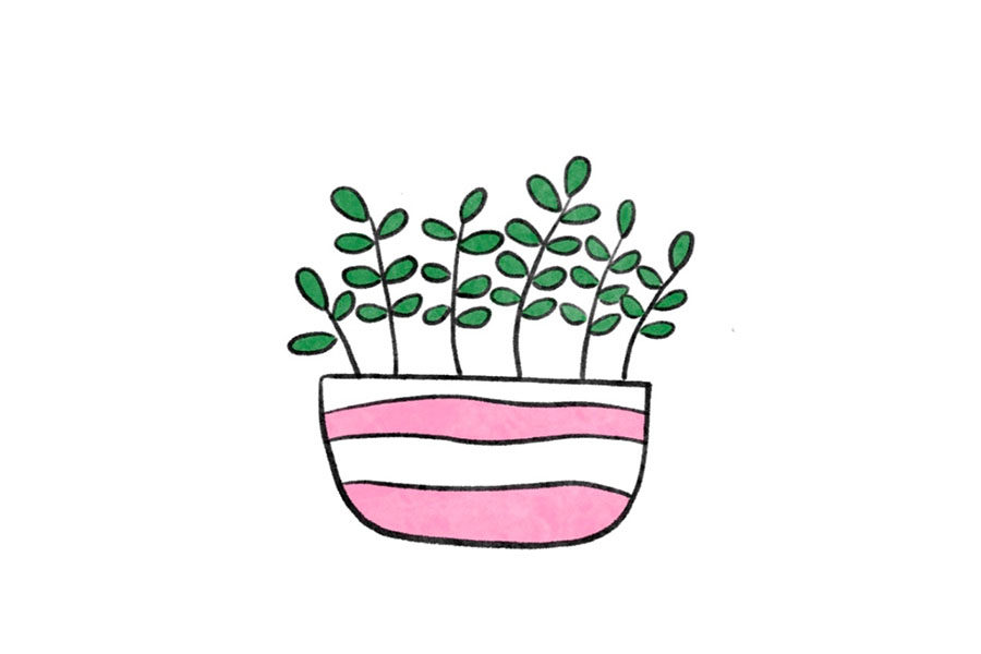 清新小盆栽简笔画图片