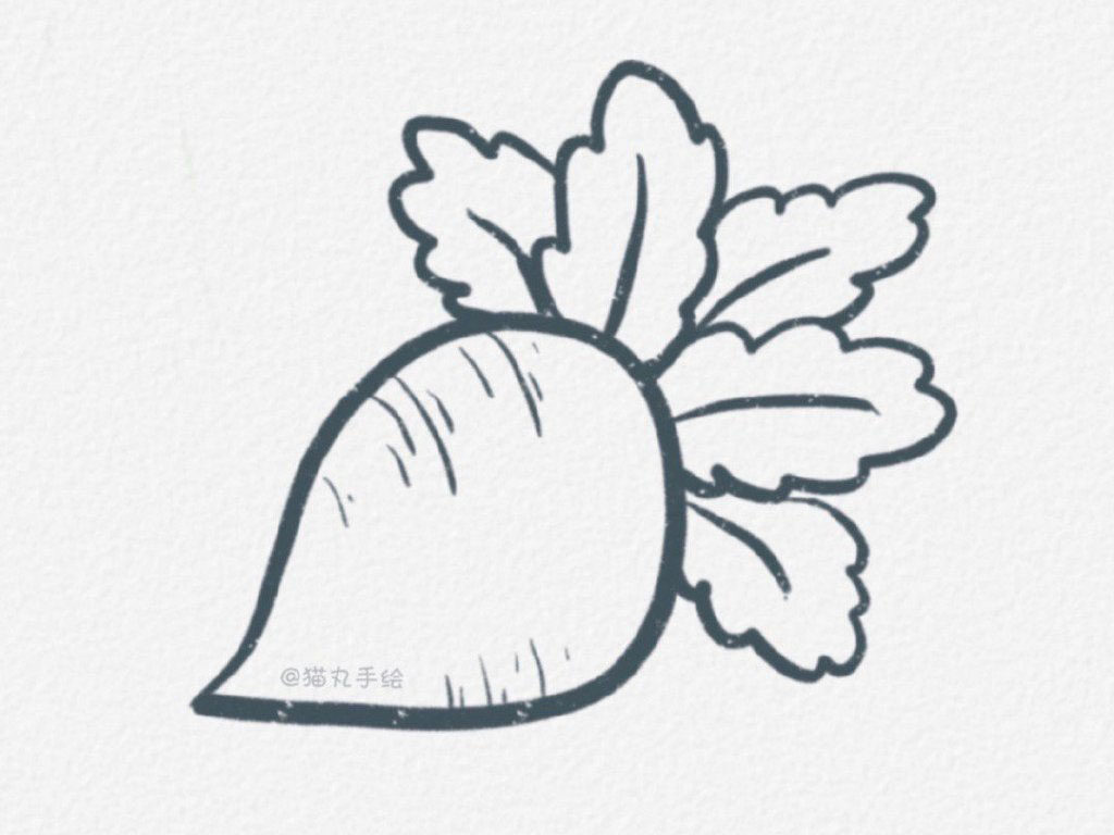 常见蔬菜简笔画图片