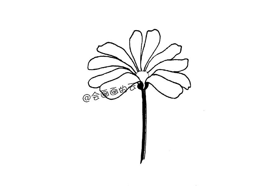 零基础简笔画 一朵漂亮的小花花
