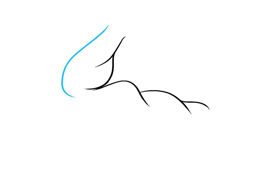 如何画二头肌