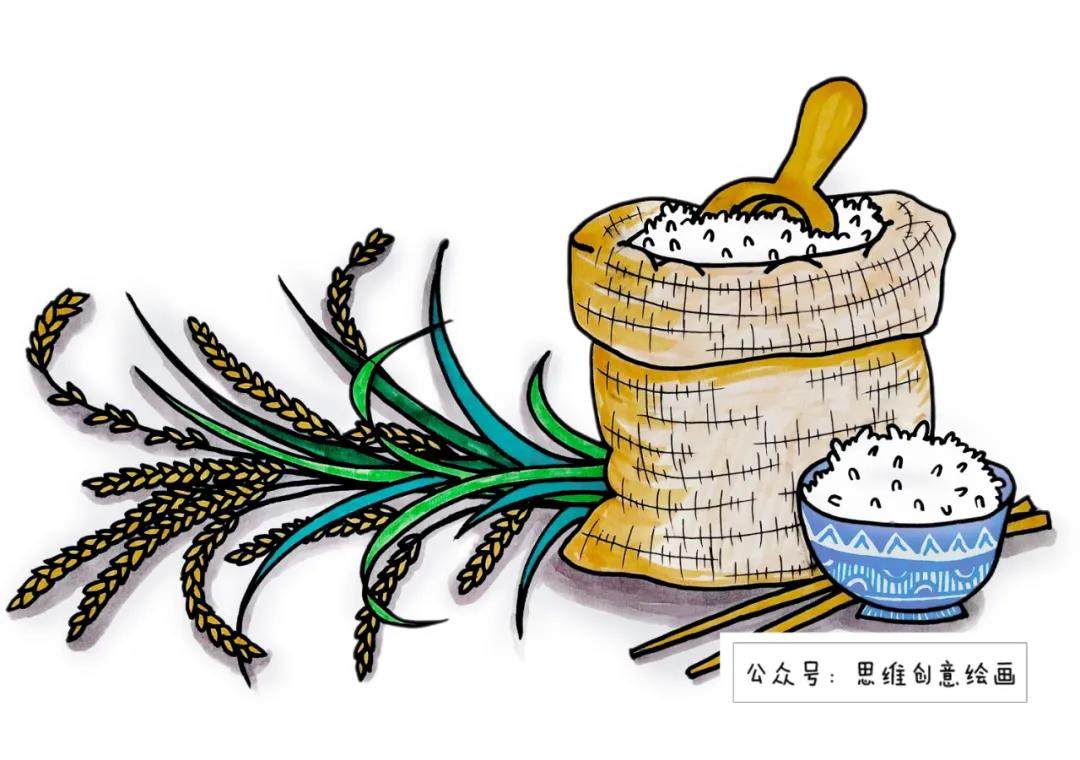 珍惜粮食简笔画步骤