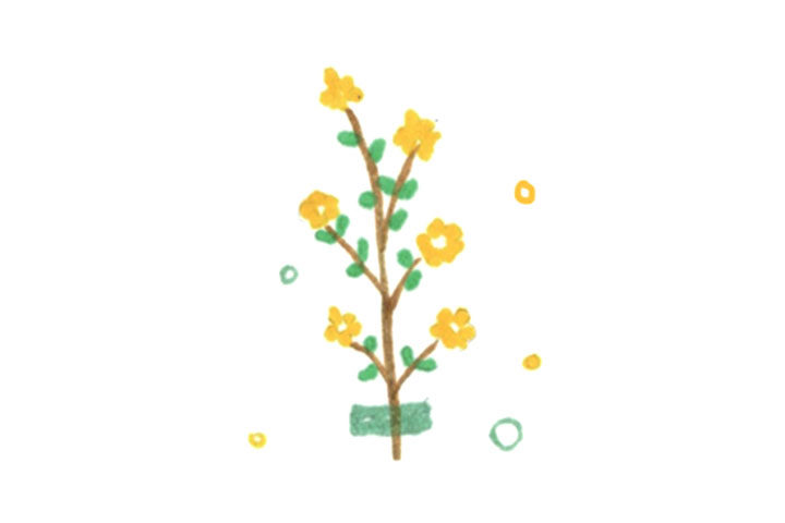 六张美丽的花花简笔画图片