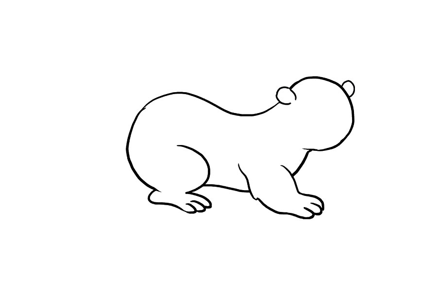 如何画水獭