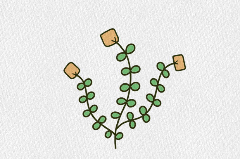 小清新彩色花朵简笔画