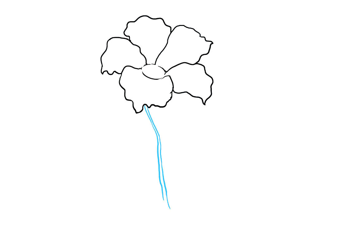 芙蓉花怎么画