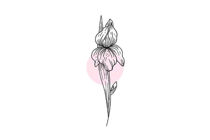 植物花草简笔画漂亮的小花简笔画图片