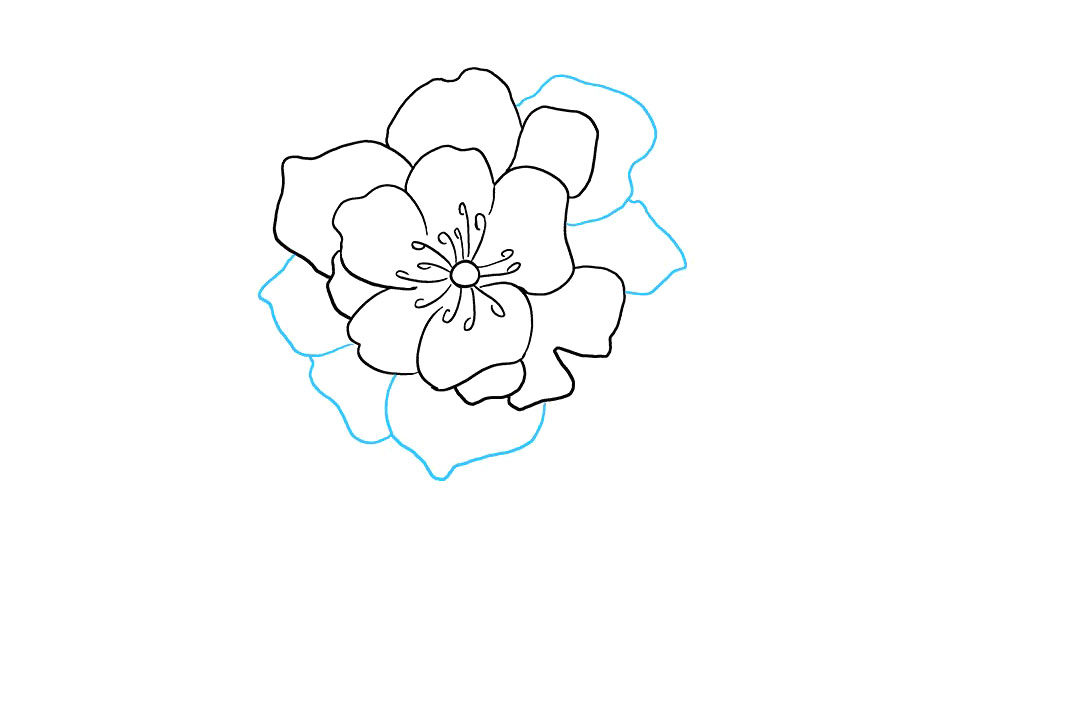 牡丹花怎么画