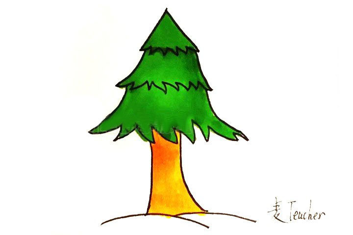 松树简笔画画法步骤