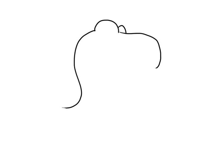 呆萌霸王龙简笔画画法步骤