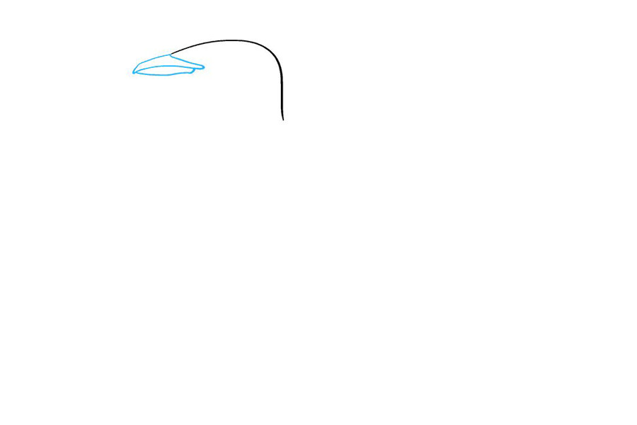 如何画海鸥