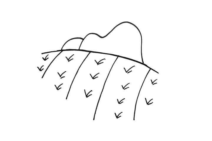 稻田怎么画